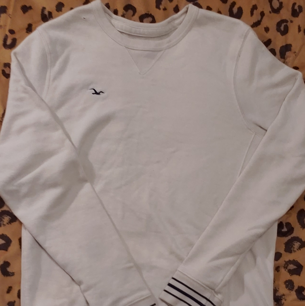 Striped Sweat shirt